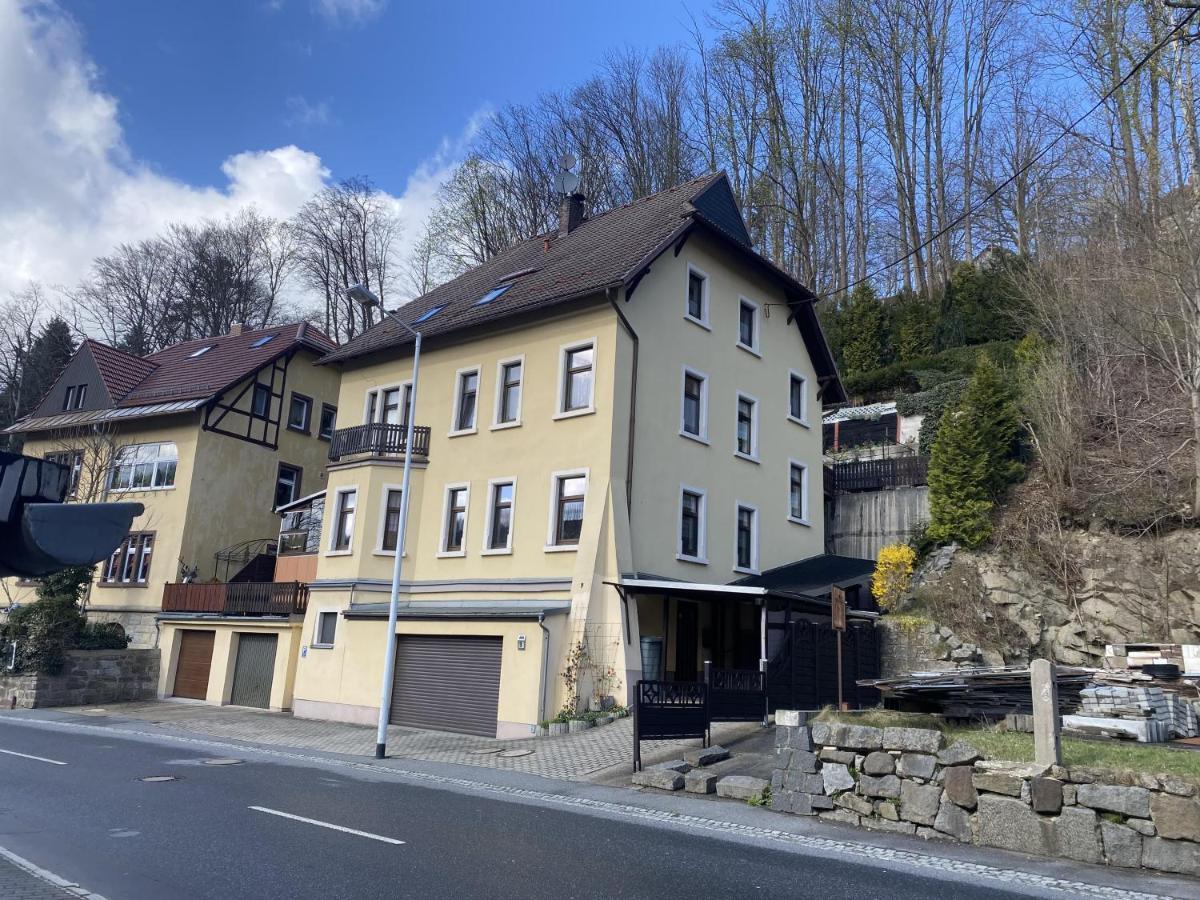 Waldblickwohnung Mit Schoener Terrasse Und Kamin Sebnitz Zewnętrze zdjęcie