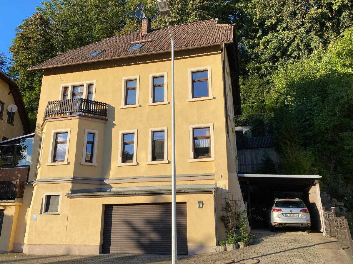 Waldblickwohnung Mit Schoener Terrasse Und Kamin Sebnitz Zewnętrze zdjęcie