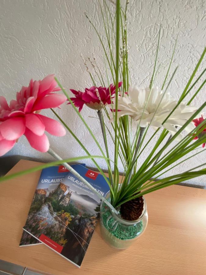 Waldblickwohnung Mit Schoener Terrasse Und Kamin Sebnitz Zewnętrze zdjęcie
