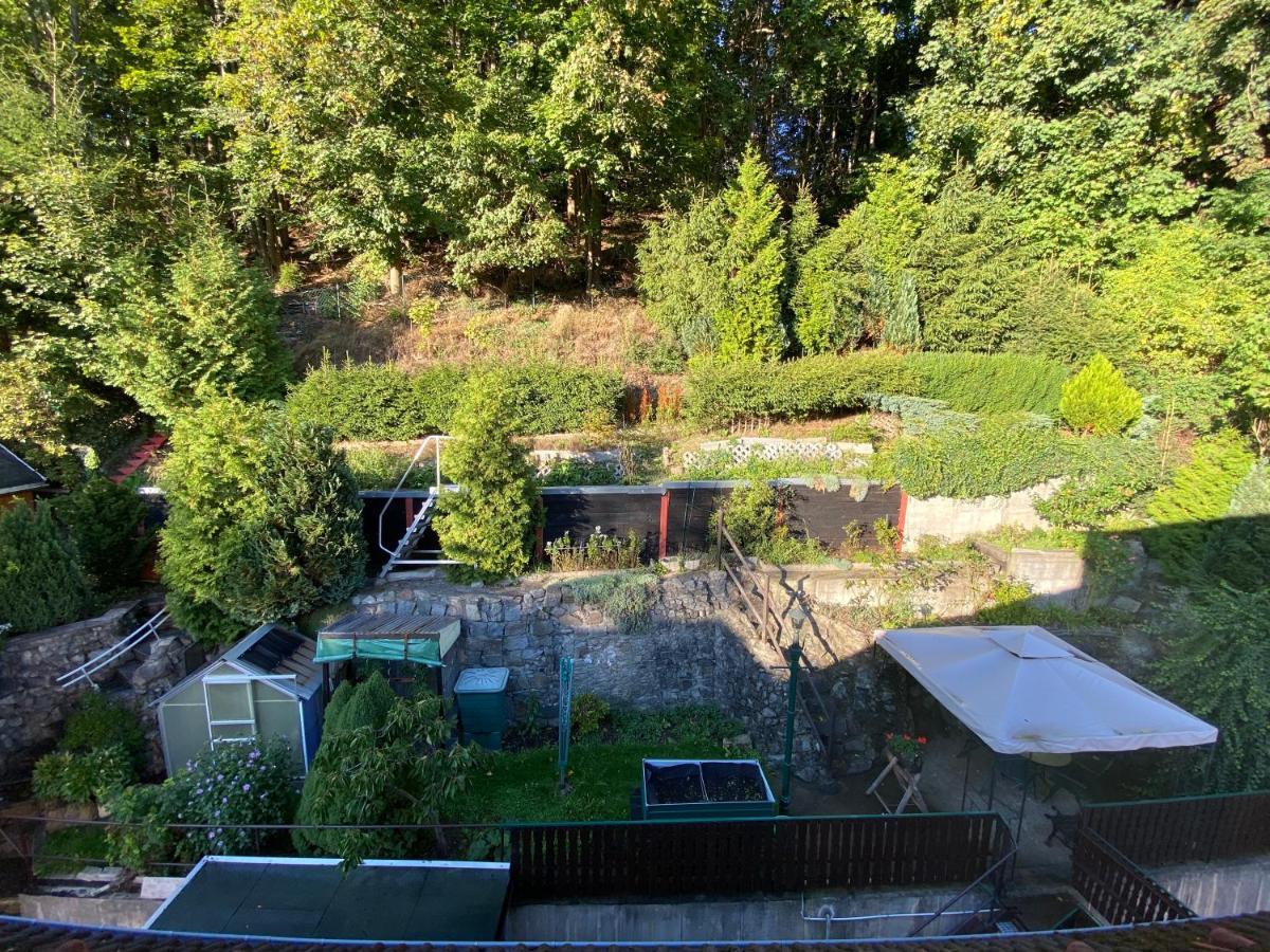 Waldblickwohnung Mit Schoener Terrasse Und Kamin Sebnitz Zewnętrze zdjęcie