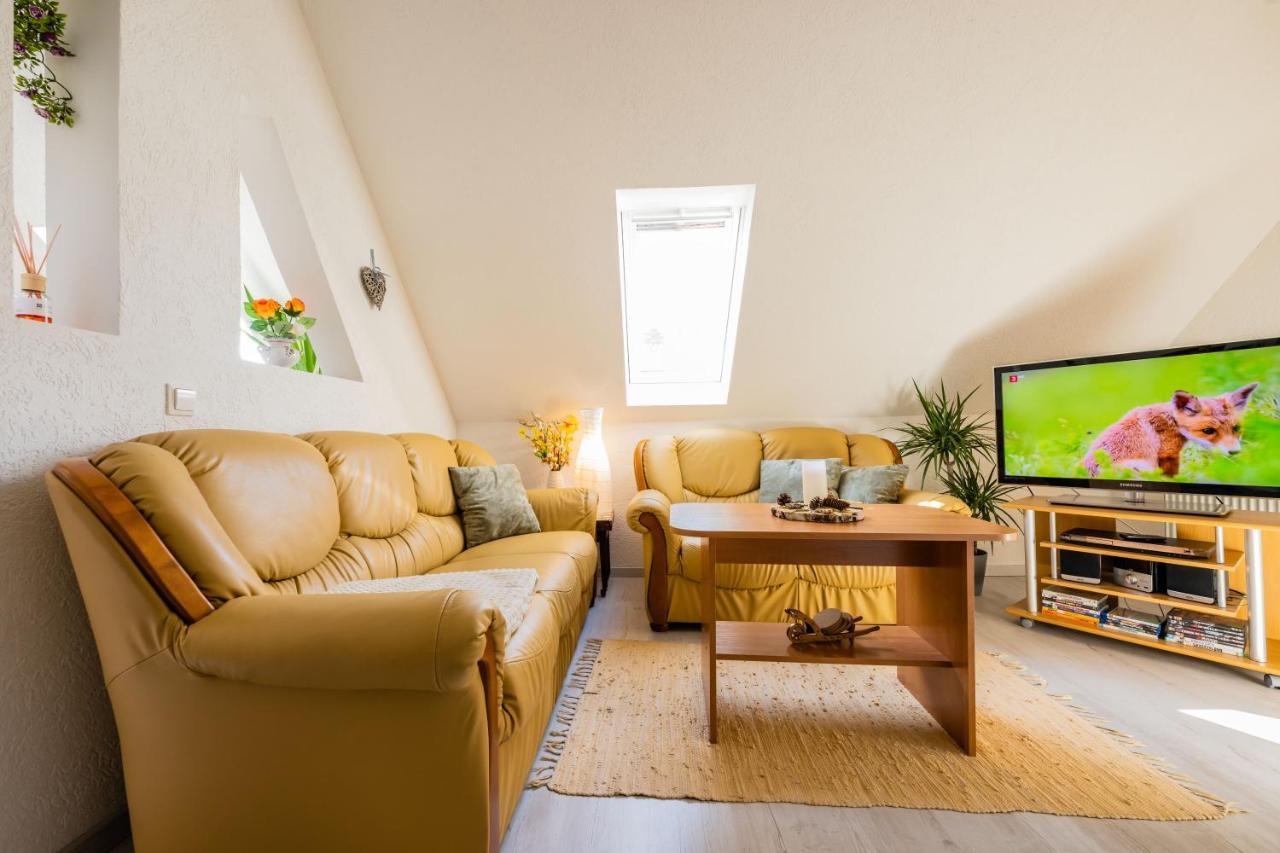 Waldblickwohnung Mit Schoener Terrasse Und Kamin Sebnitz Zewnętrze zdjęcie