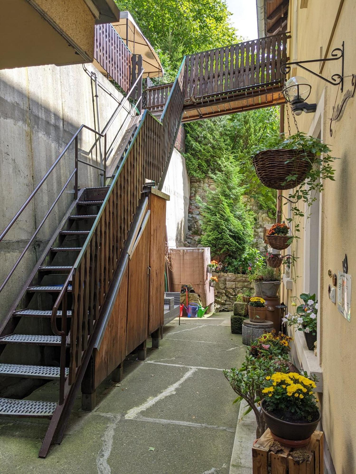 Waldblickwohnung Mit Schoener Terrasse Und Kamin Sebnitz Zewnętrze zdjęcie