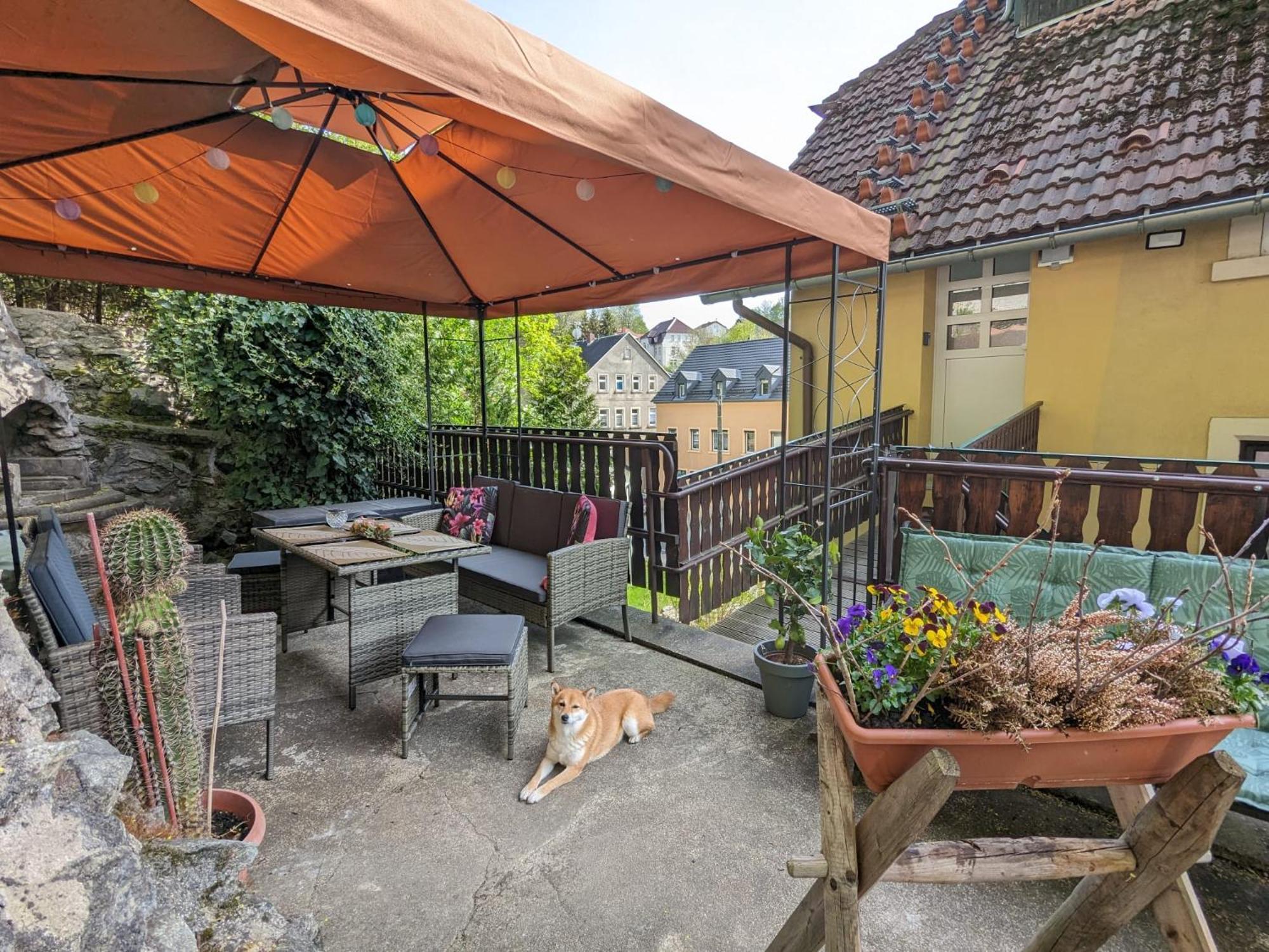 Waldblickwohnung Mit Schoener Terrasse Und Kamin Sebnitz Zewnętrze zdjęcie
